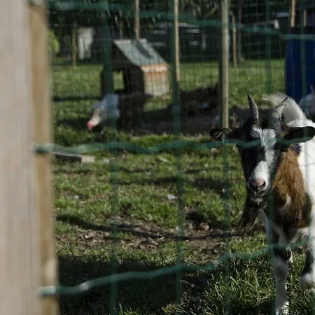 Sauna Piscine Côté Verger Alsace Casa vacanze *